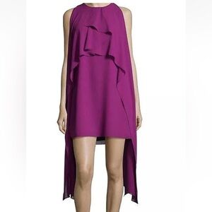Belle Badgley Mischka Purple Tiered Sheath
Dress - Preloved